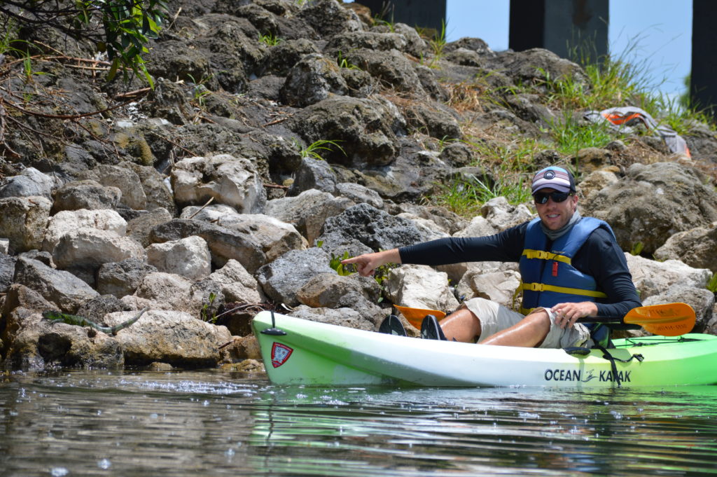 green iguana next to my kayak