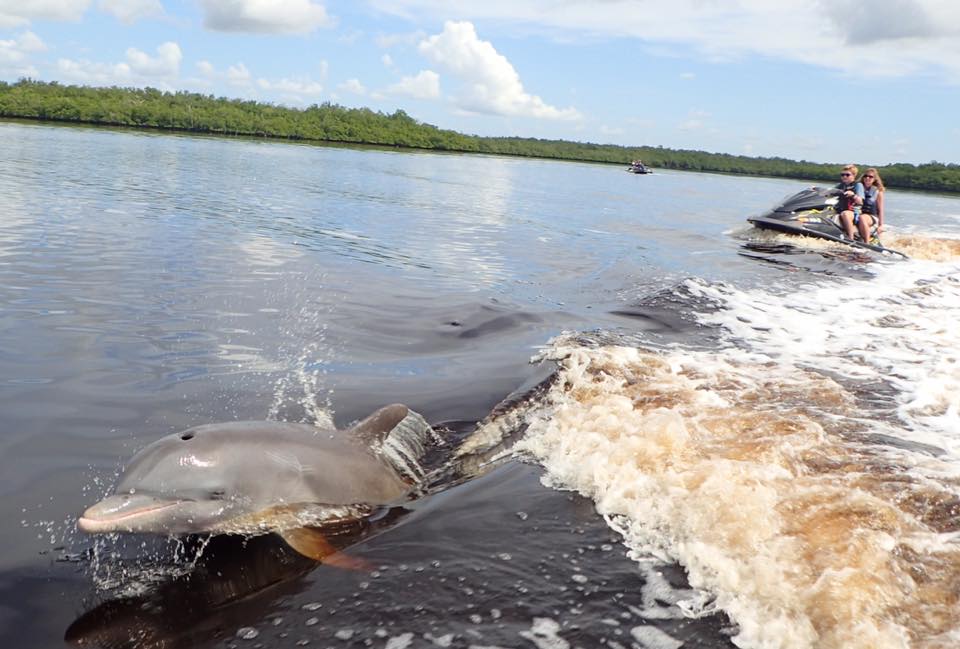 capt ron everglades jet ski tours