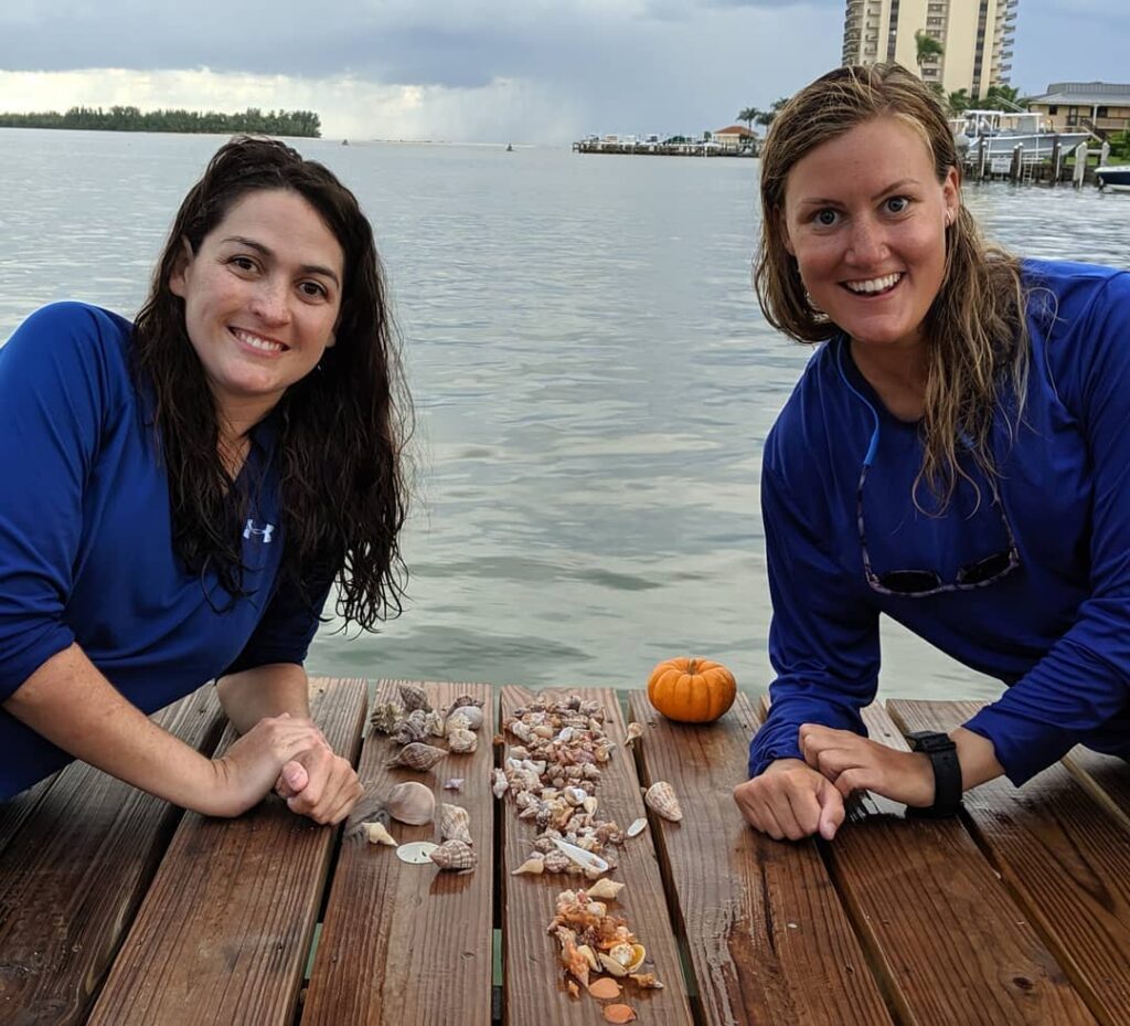 marco island sea shell collection