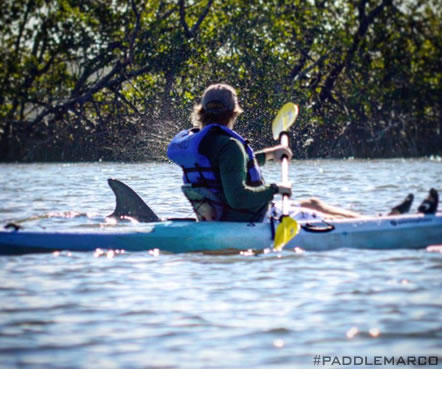 Will we see dolphins and manatees?