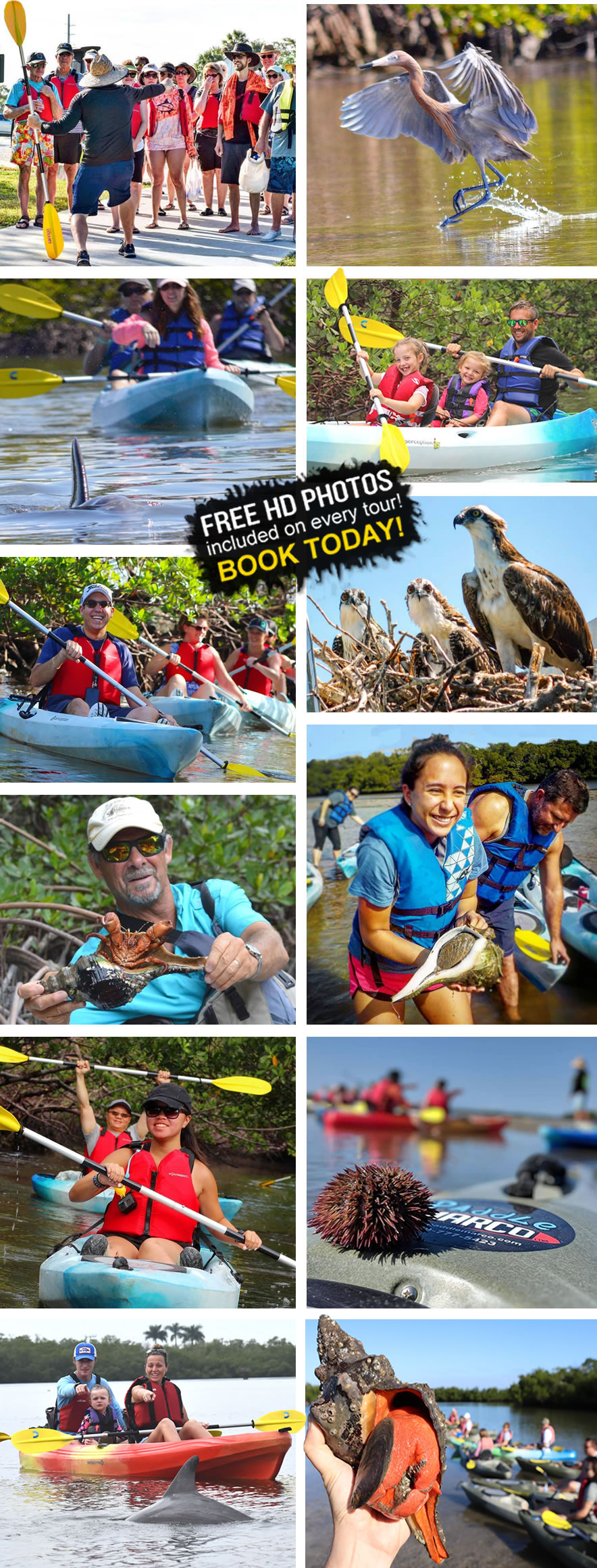 Paddle Marco Mangrove Tunnels Kayak Tour