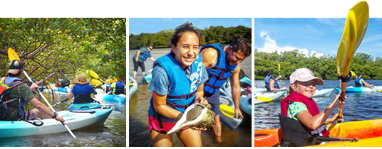 Mangrove Tunnels Kayak Tours Pictures